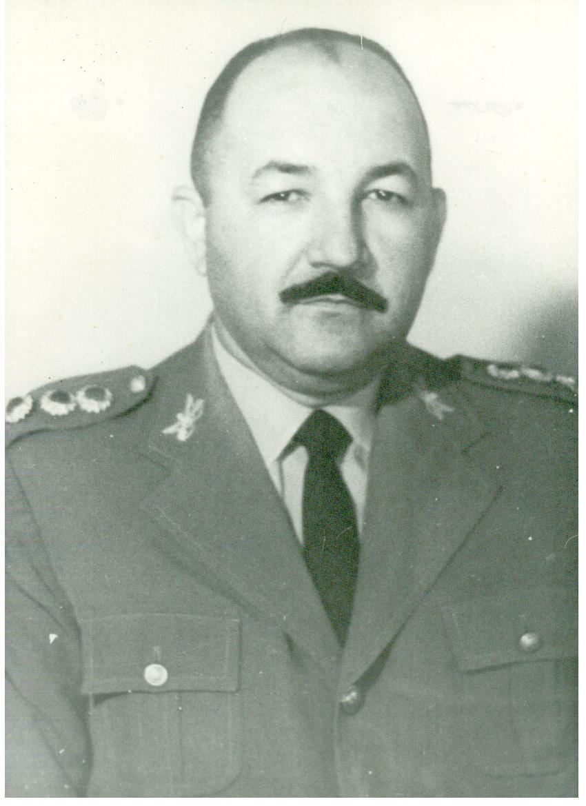 8 cel nelson ambrosio da silva