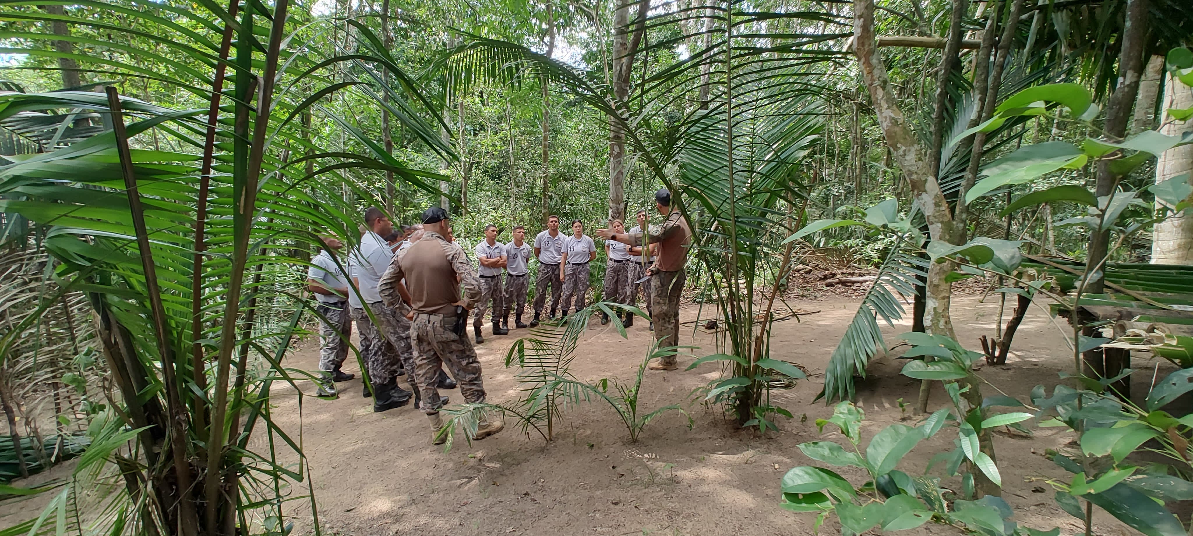 f5e38357 a1f1 41f2 ae11 ab590e4f60df