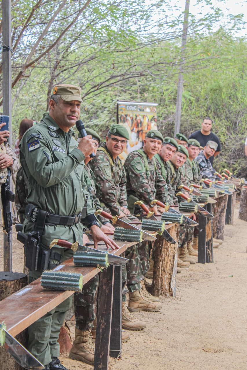 11d98993 d184 4569 a2a2 8b655c33b357